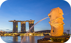 美國銀行賬戶及時(shí)回復(fù)消息