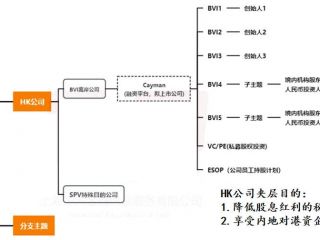搭建離岸VIE架構(gòu)時，注冊WFOE公司有什么作用