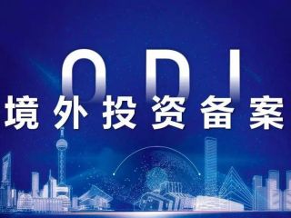 ODI境外投資備案，深入分析行業(yè)需求與潛力